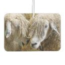 Search for sheep car air fresheners Funny