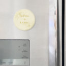 Search for chic classic magnets Minimal