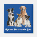 Search for rescues magnets Dogs