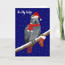 Search for parrot christmas cards Pet