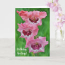Search for gladiolus flowers cards Pink