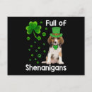 Search for shenanigans postcards Leprechaun