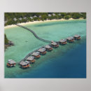 Search for fiji island posters View