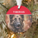Search for funny dog christmas tree decorations Animals
