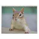 Search for chipmunk calendars Animals