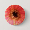 Search for gerber badges Daisies
