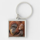 Search for part of body key rings Wildlife
