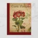 Search for pelargonium Botanical