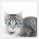 Search for beautiful eyes stickers Animal