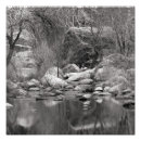 Search for tucson posters Photography