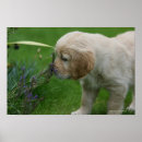 Search for pam posters 7 weeks
