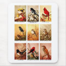 Search for rarely mouse mats Bird