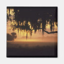 Search for fog magnets Silhouette