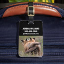 Search for red tails accessories Nature