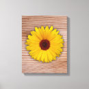 Search for bright yellow background posters Sunflower