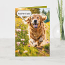 Search for happy summer postcards Birthday