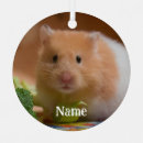 Search for rat christmas tree decorations Mouse
