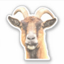 Search for funny goat stickers Illustration