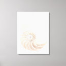 Search for nautilus canvas prints Spiral