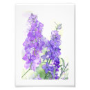 Search for delphinium art Blue