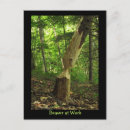 Search for beavers vertical postcards Rodent