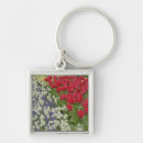 Search for dutch tulip key rings Europe