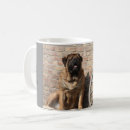 Search for english mastiff mugs Dog