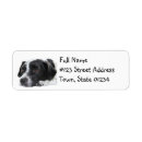 Search for black pointer Puppy