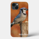 Search for jays electronics Birding