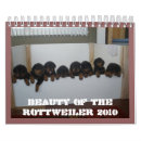 Search for rottweilers calendars Dog