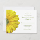 Search for yellow gerbera Green