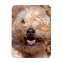 Search for danita delimont magnets Curiosity