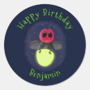 Search for lightning bug stickers Insect