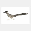 Search for roadrunner stickers Bird