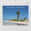 Search for grand cayman postcards Palm