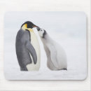 Search for full body mouse mats Wildlife
