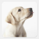 Search for tongue sticking out stickers Animals