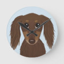 Search for chocolate clocks Dog