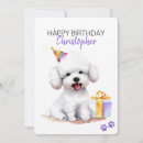 Search for bichon frise birthday cards Watercolor