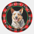 Search for cattle dog stickers Animal