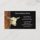 Search for dairy milk business cards Animal