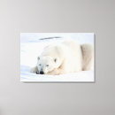 Search for wildlife canvas prints Animal