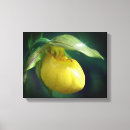 Search for yellow wildflowers art Botanical