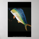 Search for dorado posters Dolphin