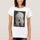 Search for coton de tulear gifts Puppy