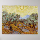 Search for olive trees posters Vincent van gogh