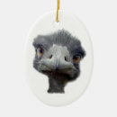 Search for ostrich christmas tree decorations Wild