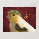 Search for pretty bird postcards Red