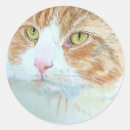 Search for snicker Kitten