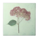 Search for pink bathroom tiles Vintage